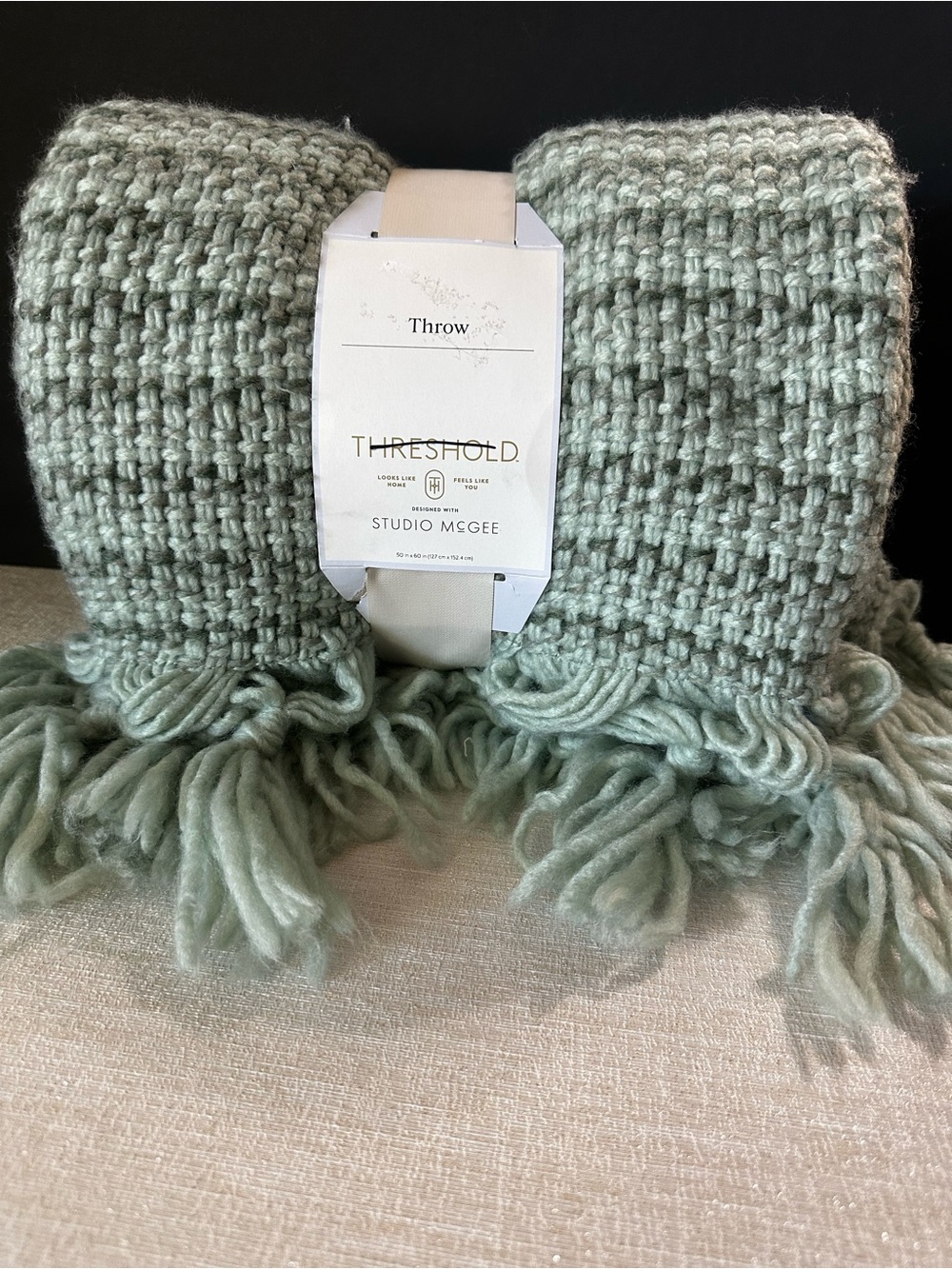 NWT Threshold Studio McGee Mint Green Chunky Woven Throw with Fringe